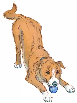 Drawing of a dog in a play bow pose looking happy and ready to play