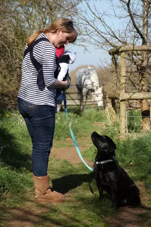 A dog owner keeps her dog calm whilst near a horse