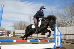 Pony and rider jumping over horse jump