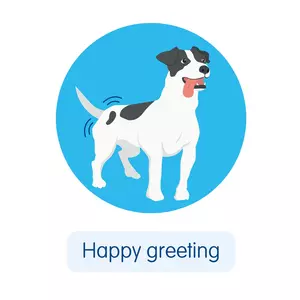 A jack russell dog illustration wiggling their bum and wagging their tail