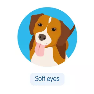 A dog illustration looking softly at you