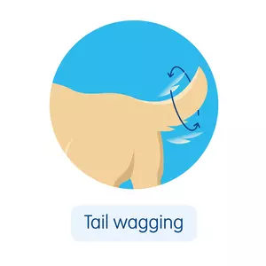 An illustration of a dog wagging their tail around in a circle