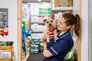 A female member of our Grimsby animal hospital team, holding a small terrier dog surrounded by piles of pet food