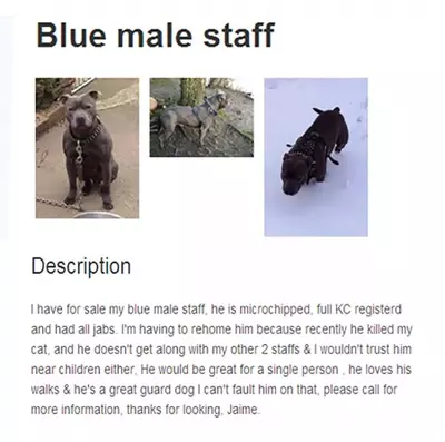 An advert for a dog being sold online. The advert notes the dog has killed the current owner's cat and the current owner "wouldn't trust him near children either"