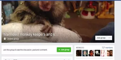 Screenshot of a Facebook group allegedly selling exotic pets