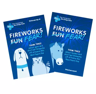Firework poster thumbnails