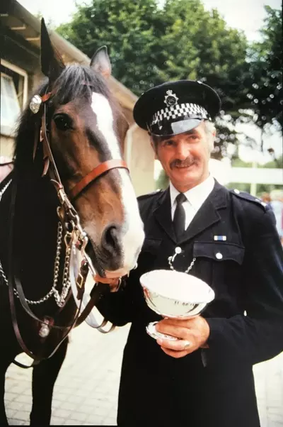 Chestnut horse with police officer