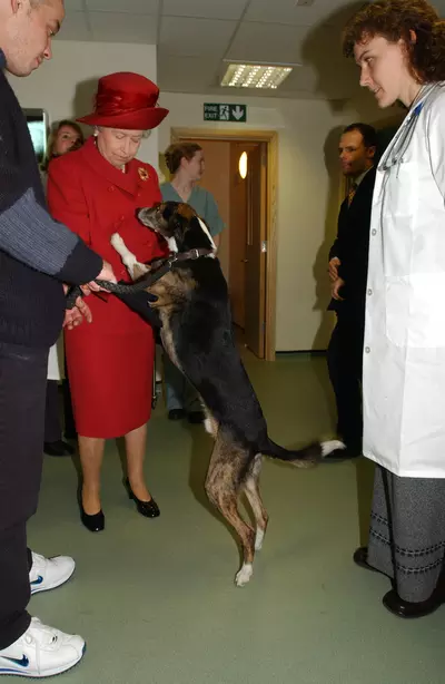 A dog jumps up a Queen Elizabeth II