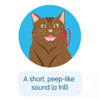 A brown cat illustration with their mouth open to create a short peep-like sound