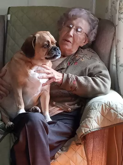Sylvia sitting on a green armchair wearing a green cardigan, black trousers and glasses with her fawn-coloured dog with black muzzle sitting on her lap. Sylvia looks at her dog, while the dog gazes out of the window