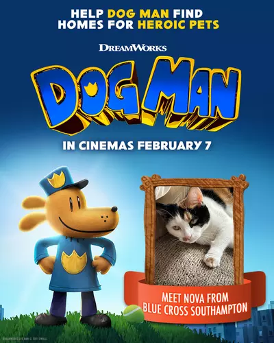 A poster for the animated film Dog Man, By DreamWorks. The poster features a Blue Cross cat called Nova.