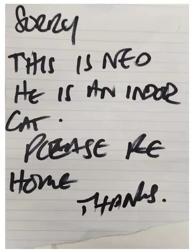 Words written on a lined sheet of white paper in thick black felt tip pen. The words on the note say, in capital letters: SORRY THIS IS NEO HE IS AN INDOOR CAT. PLEAE REHOME THANKS