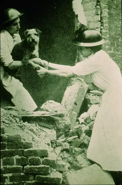 An old photograph of two women helping to remove a dog from the rubble of a house. 