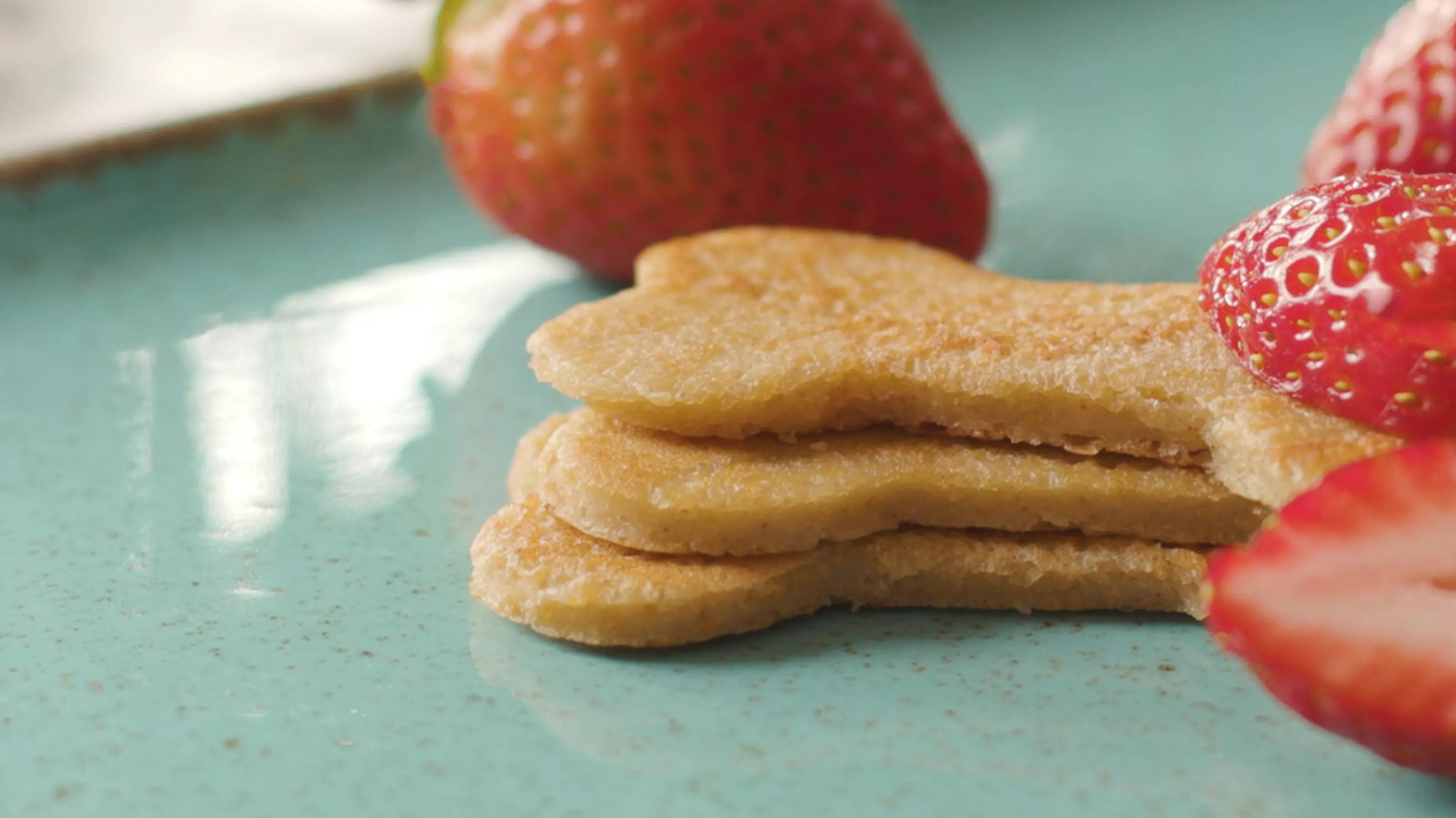 Close-up of dog-friendly pancakes