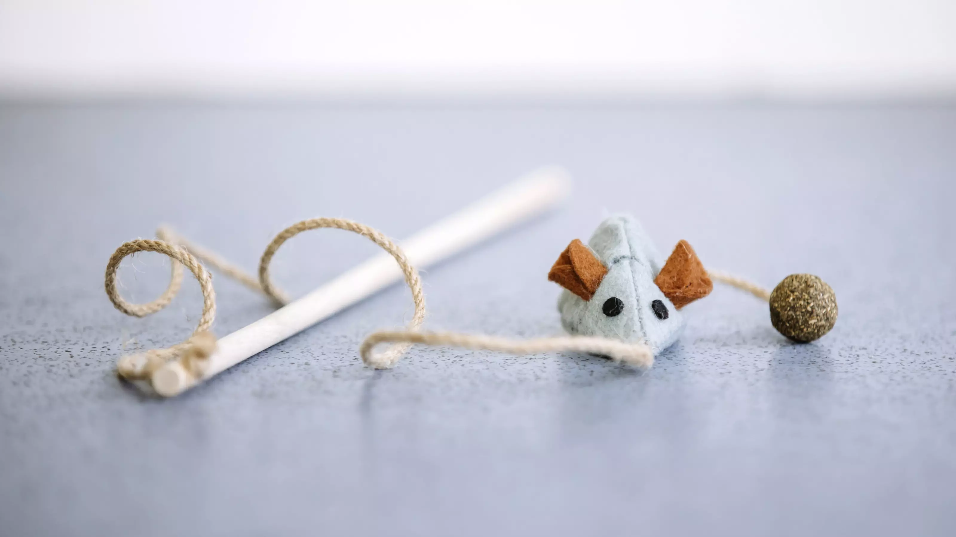 Diy cat teaser wand hot sale