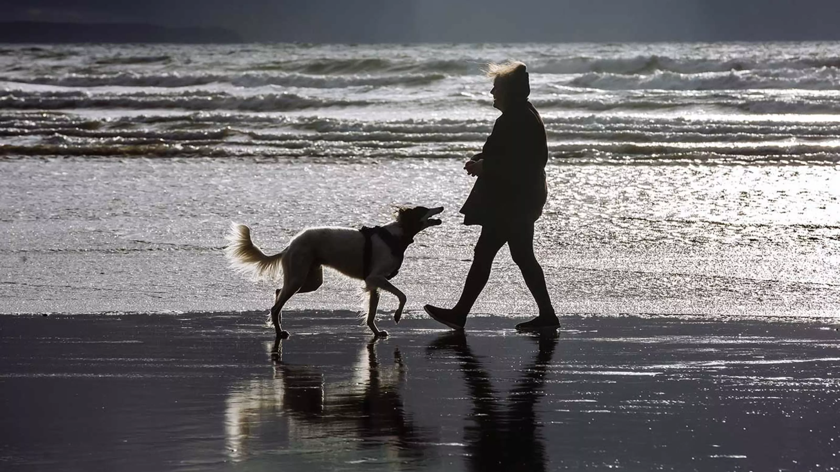 Woman and dog in silhouette on the beach