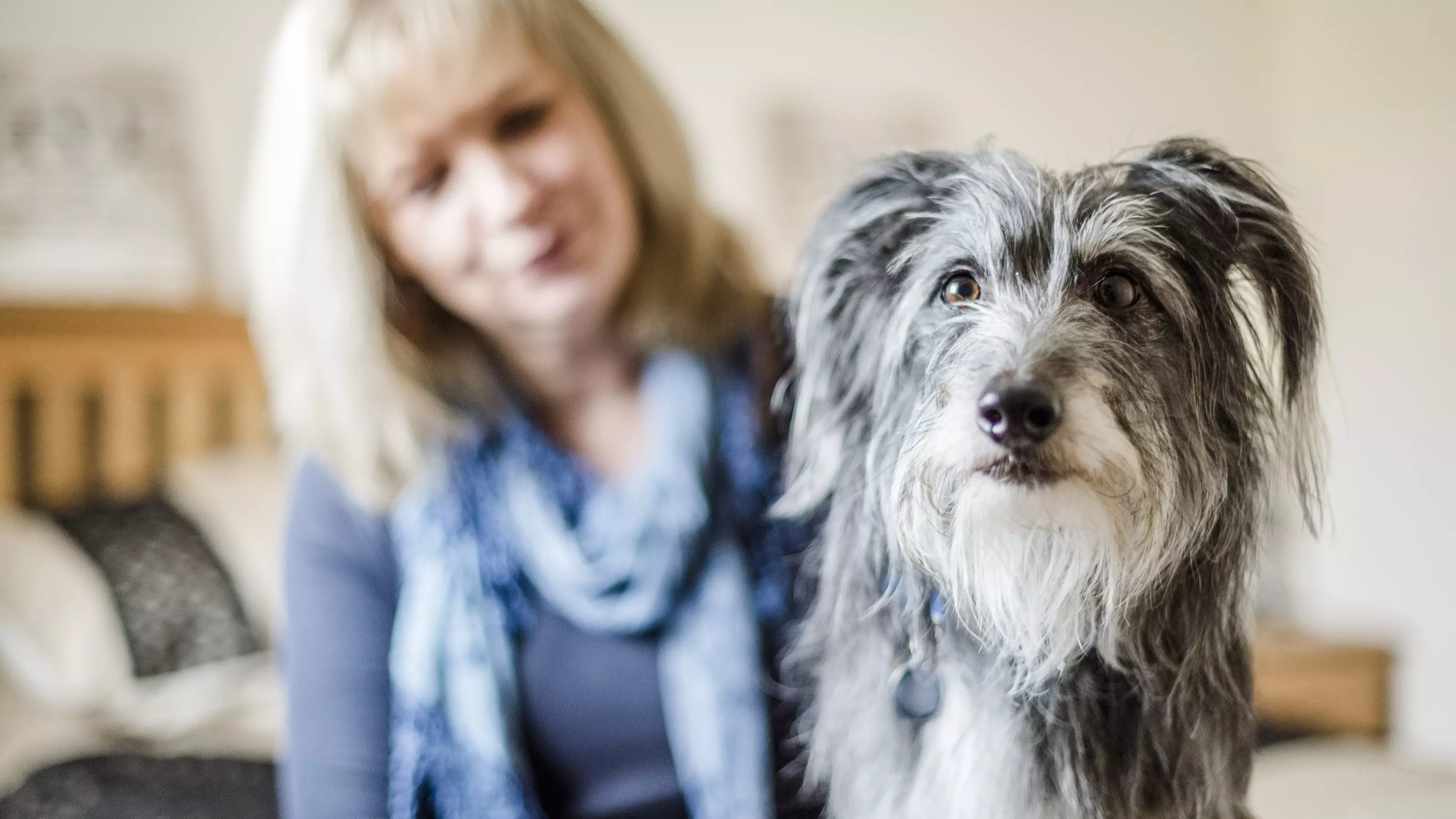 Dog looking at camera with woman in background