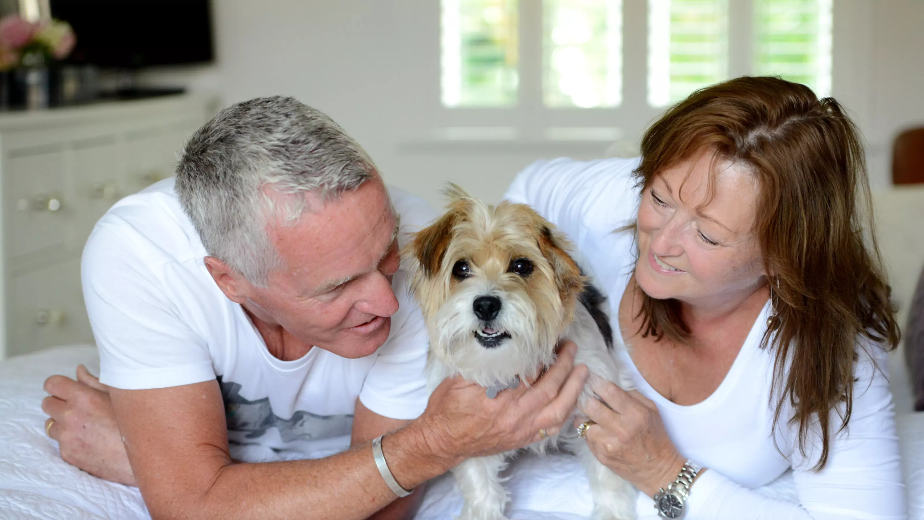Couple lying down with jack russell in between them