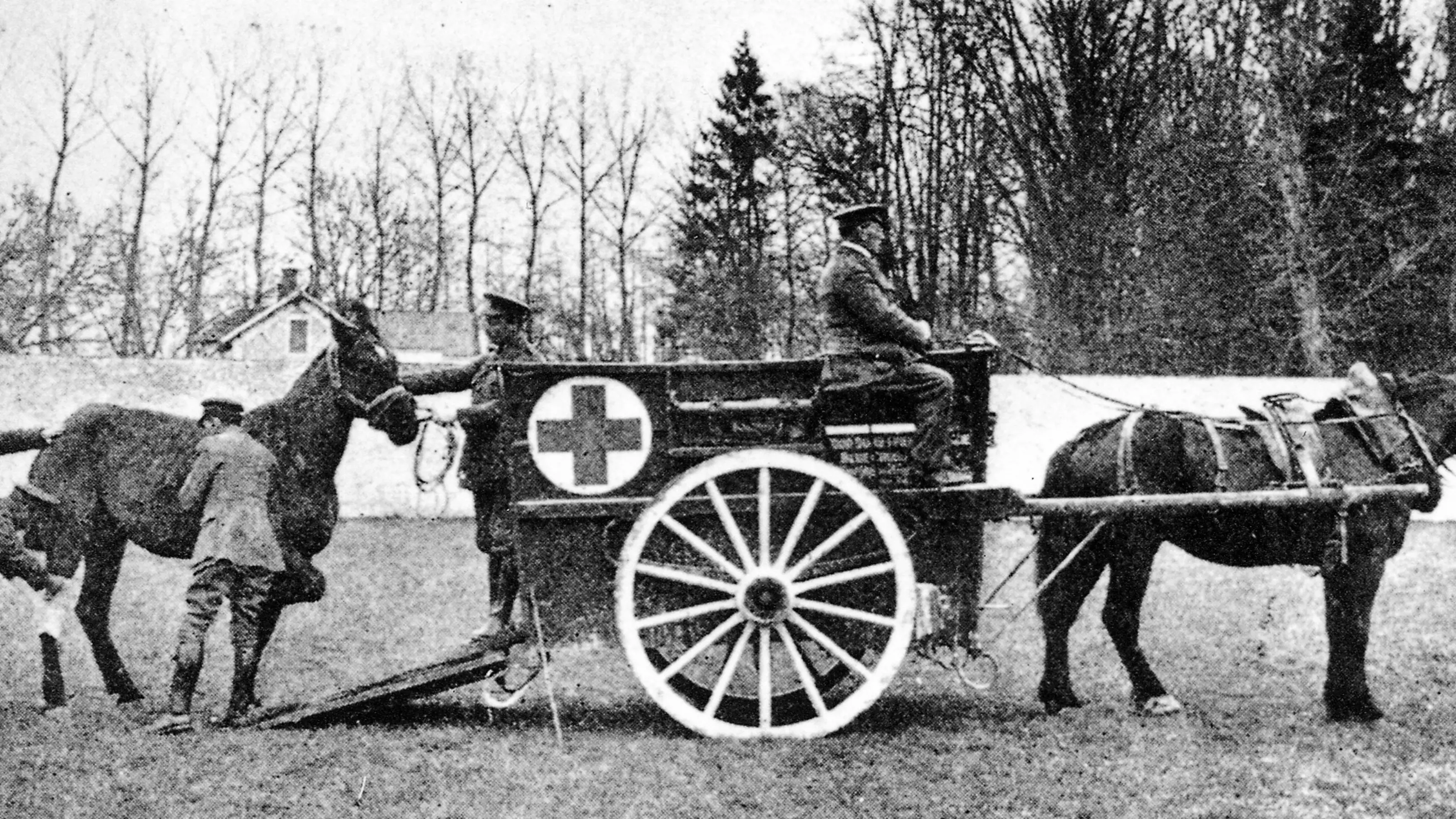 Blue Cross workers lead an injured horse towards a Blue Cross horse ambulance, which is driven by another horse, in France during the First World War