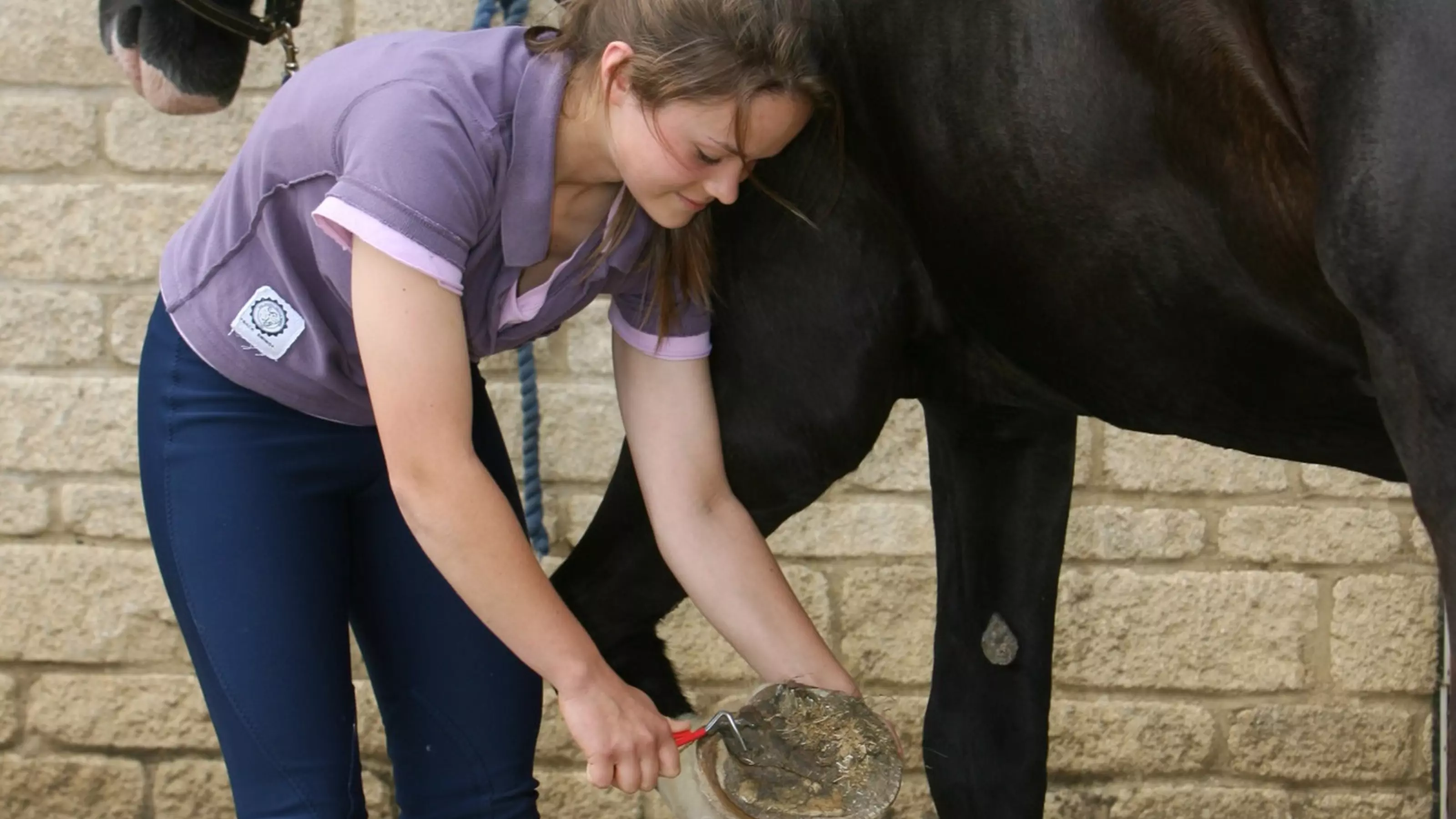 Woman picking horse's hoof