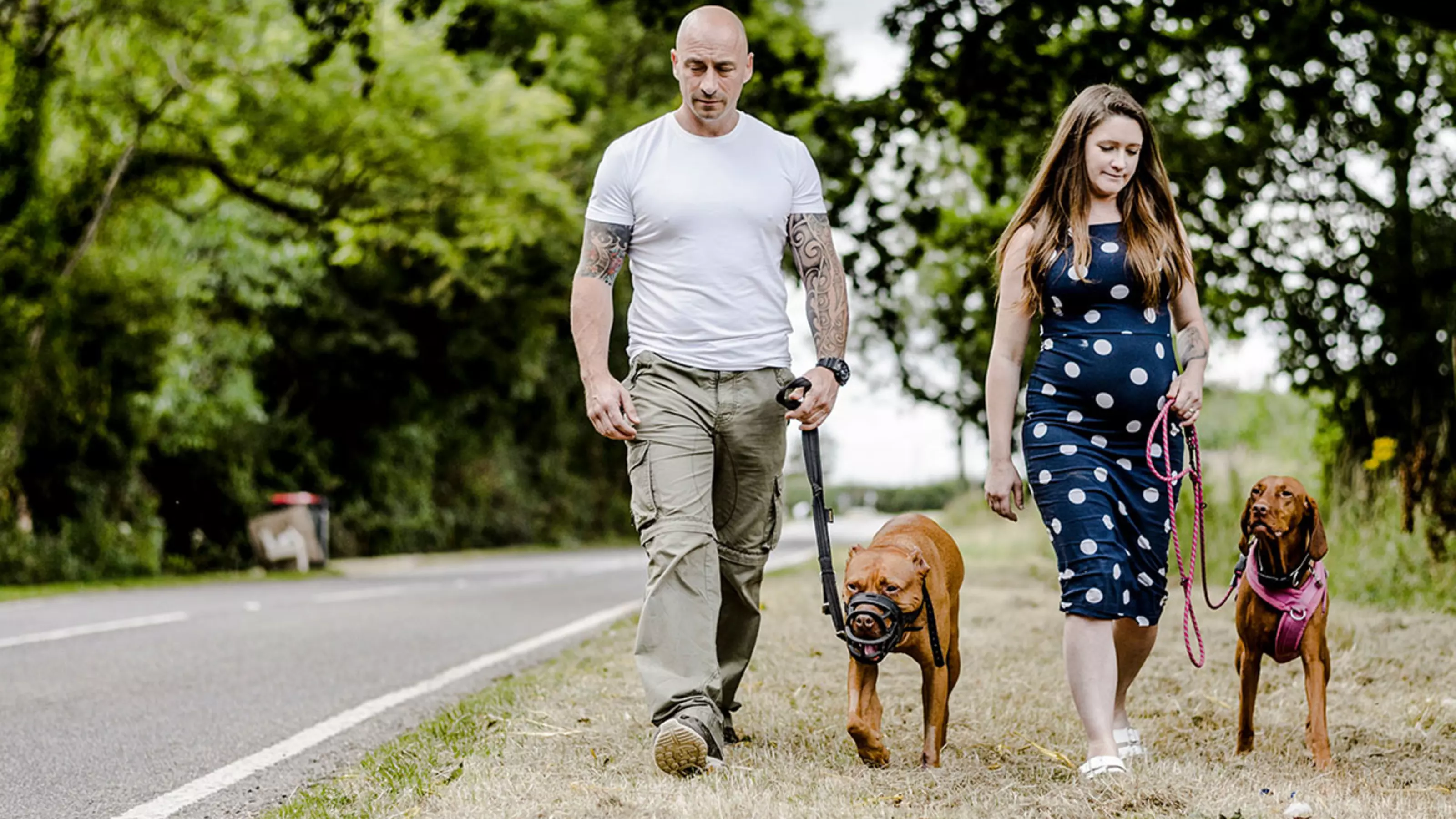 Archie the pitbull terrier on a walk