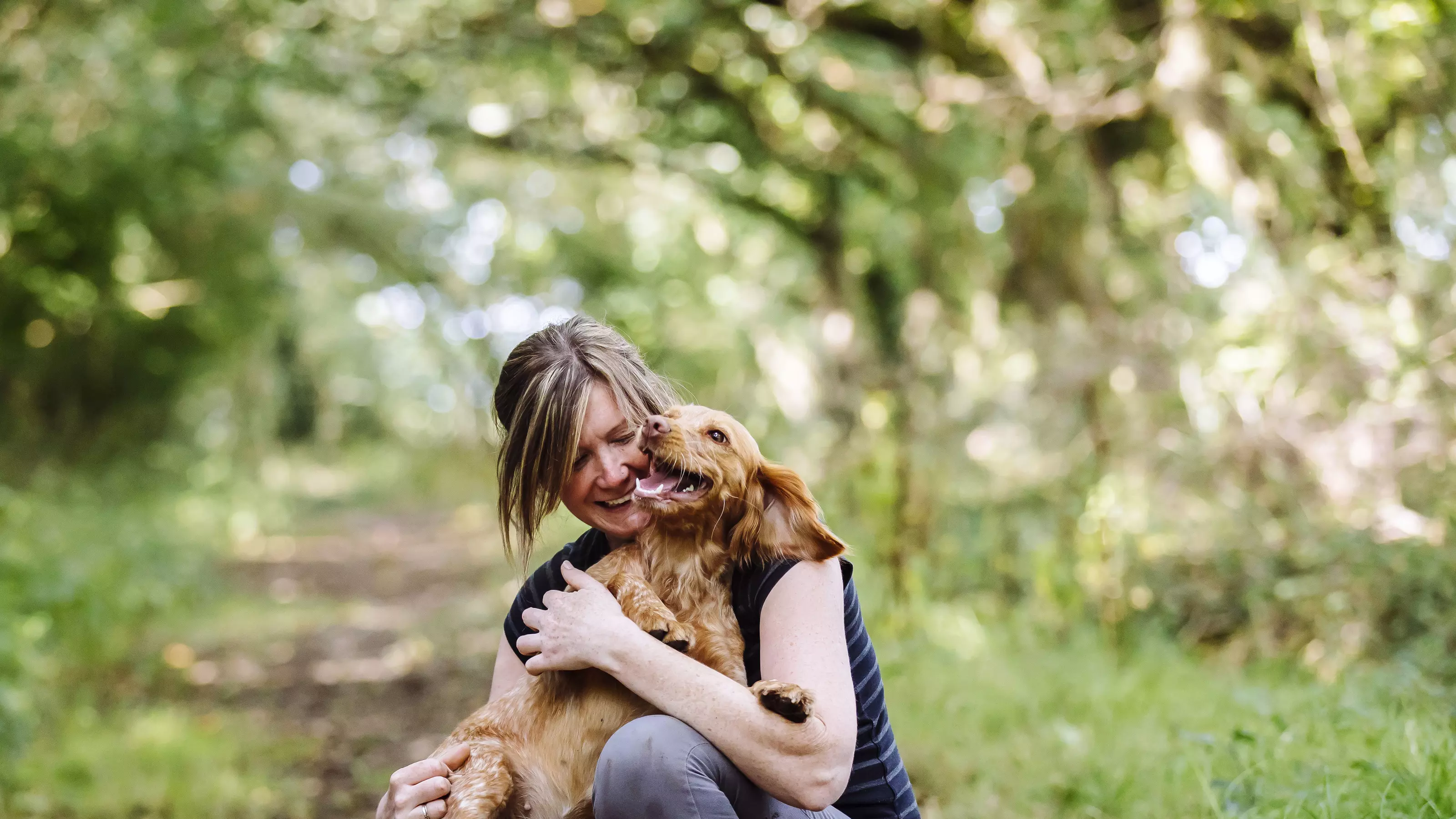 Cocker spaniel with owner on walk