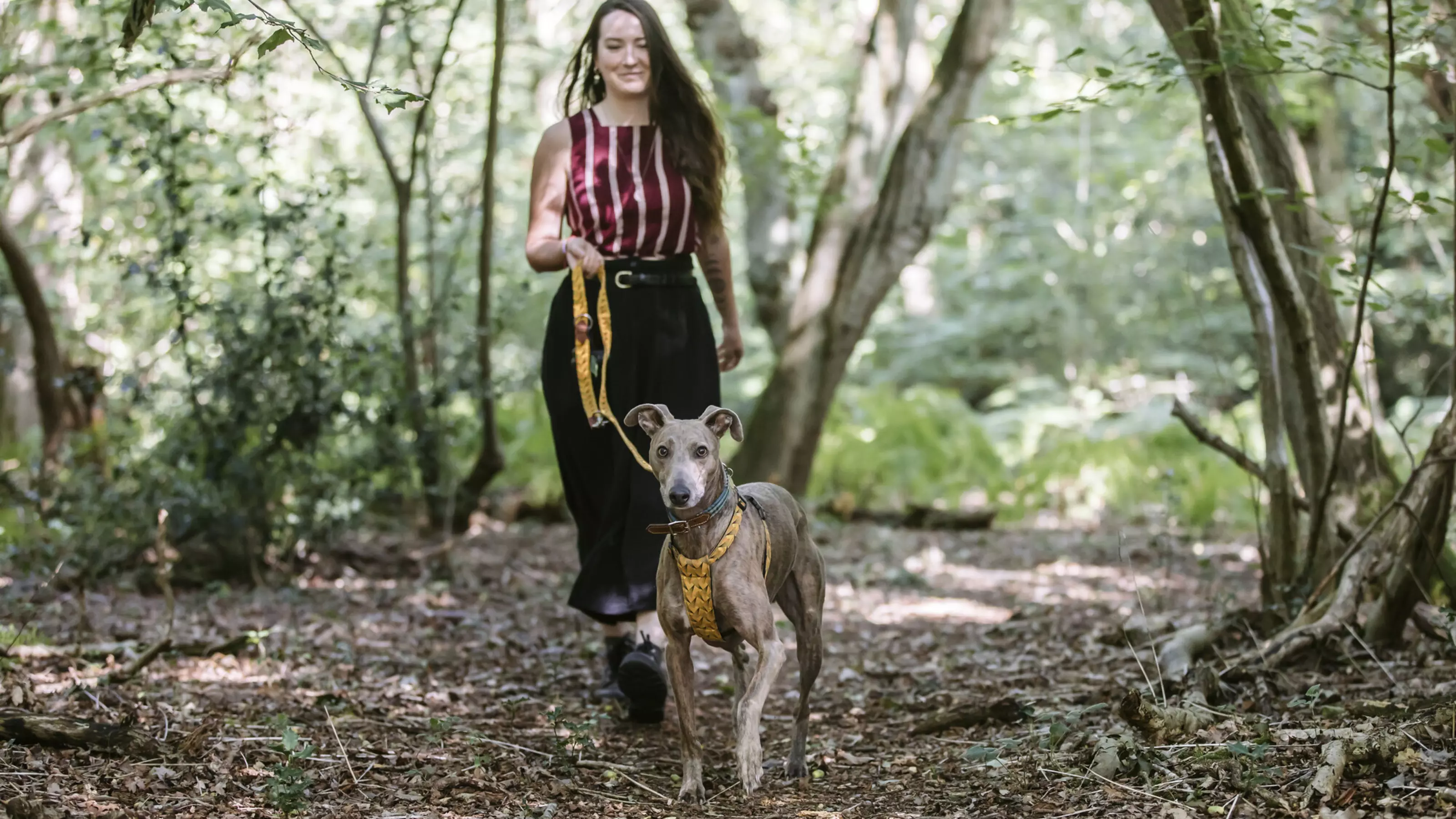 Flynn walking through a woodland with owner Jade