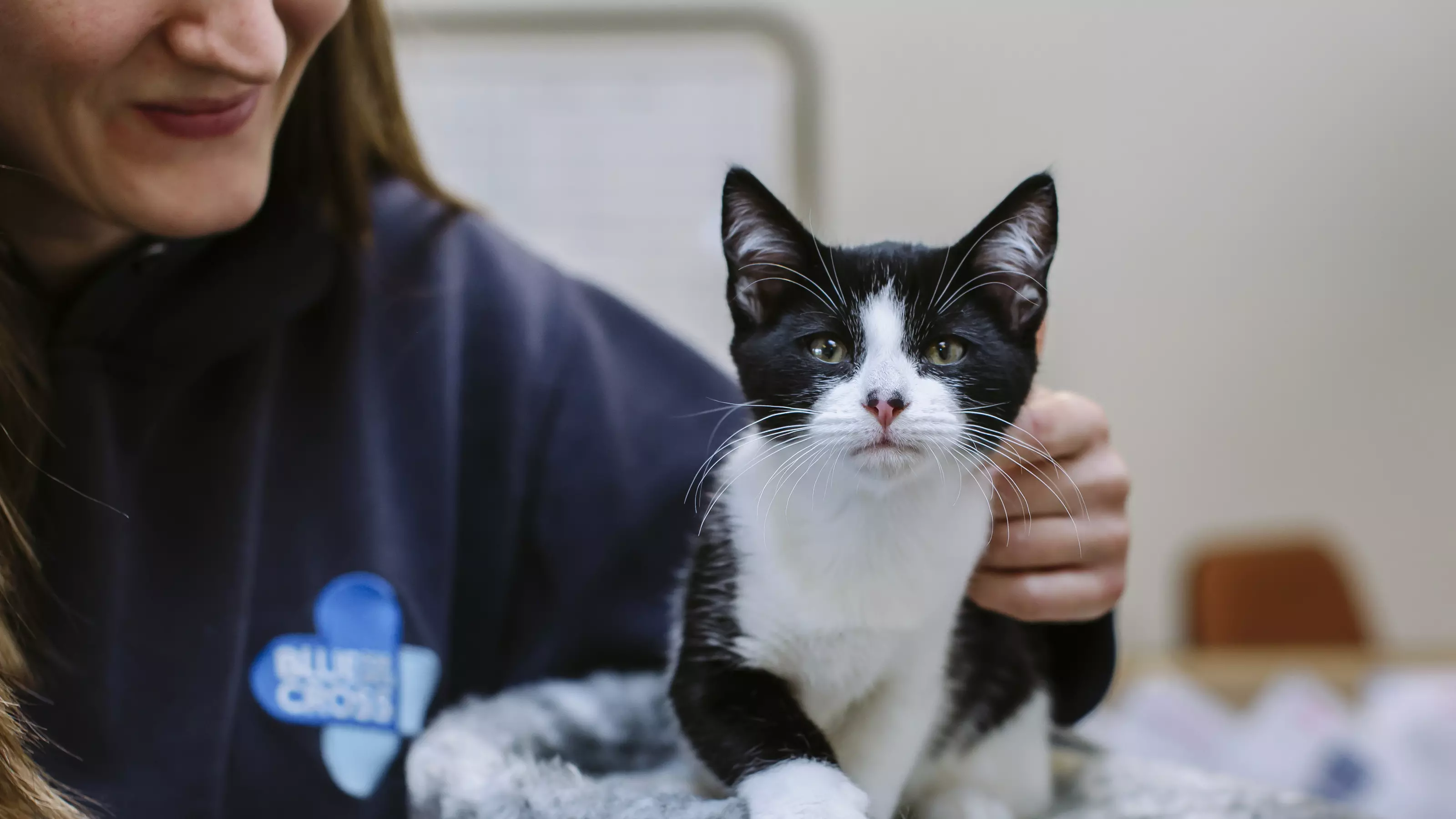 Eddie at Blue Cross Hertfordshire