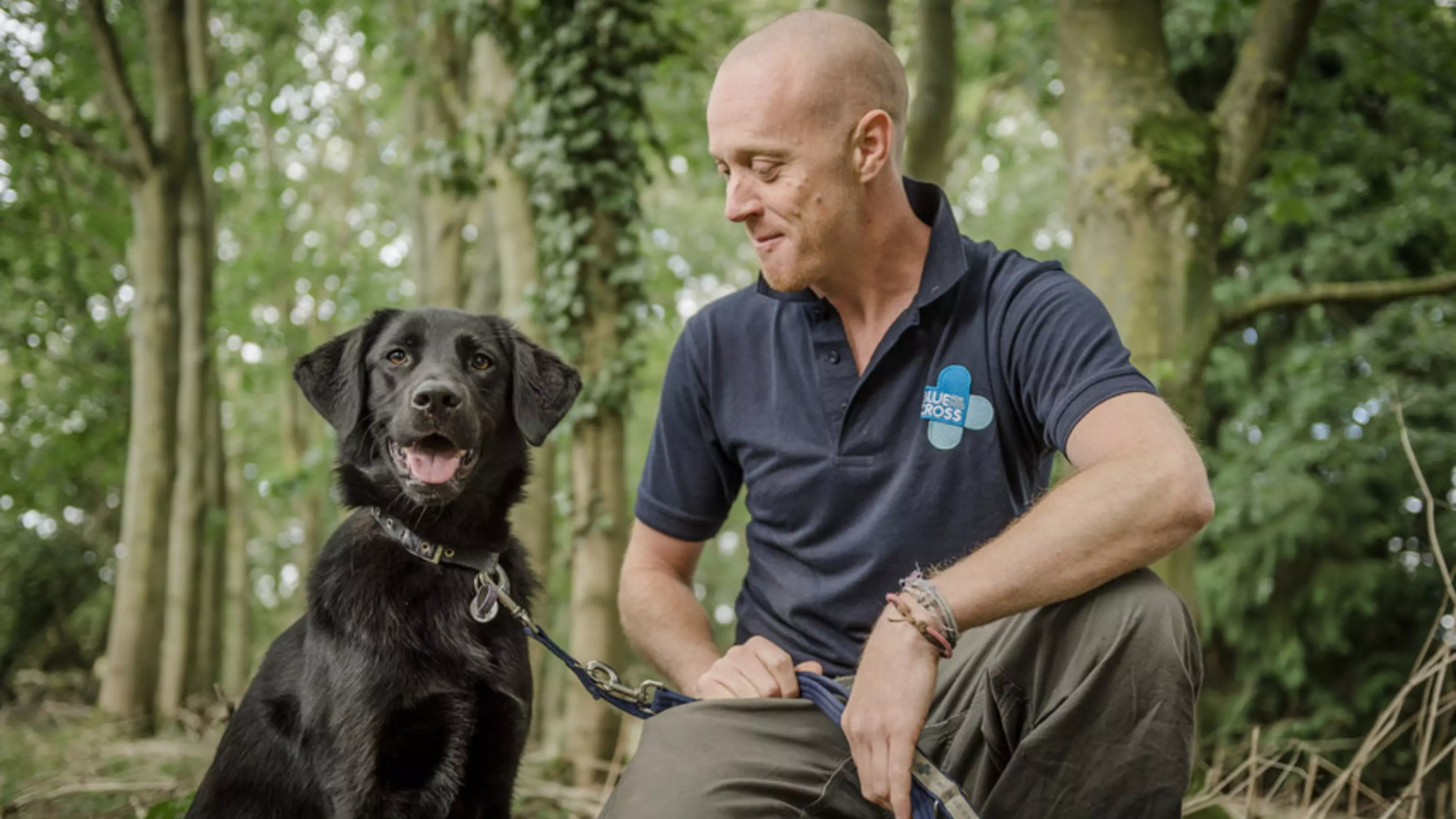 Black dog looking at the camera in woodland area, with a Blue Cross member of staff
