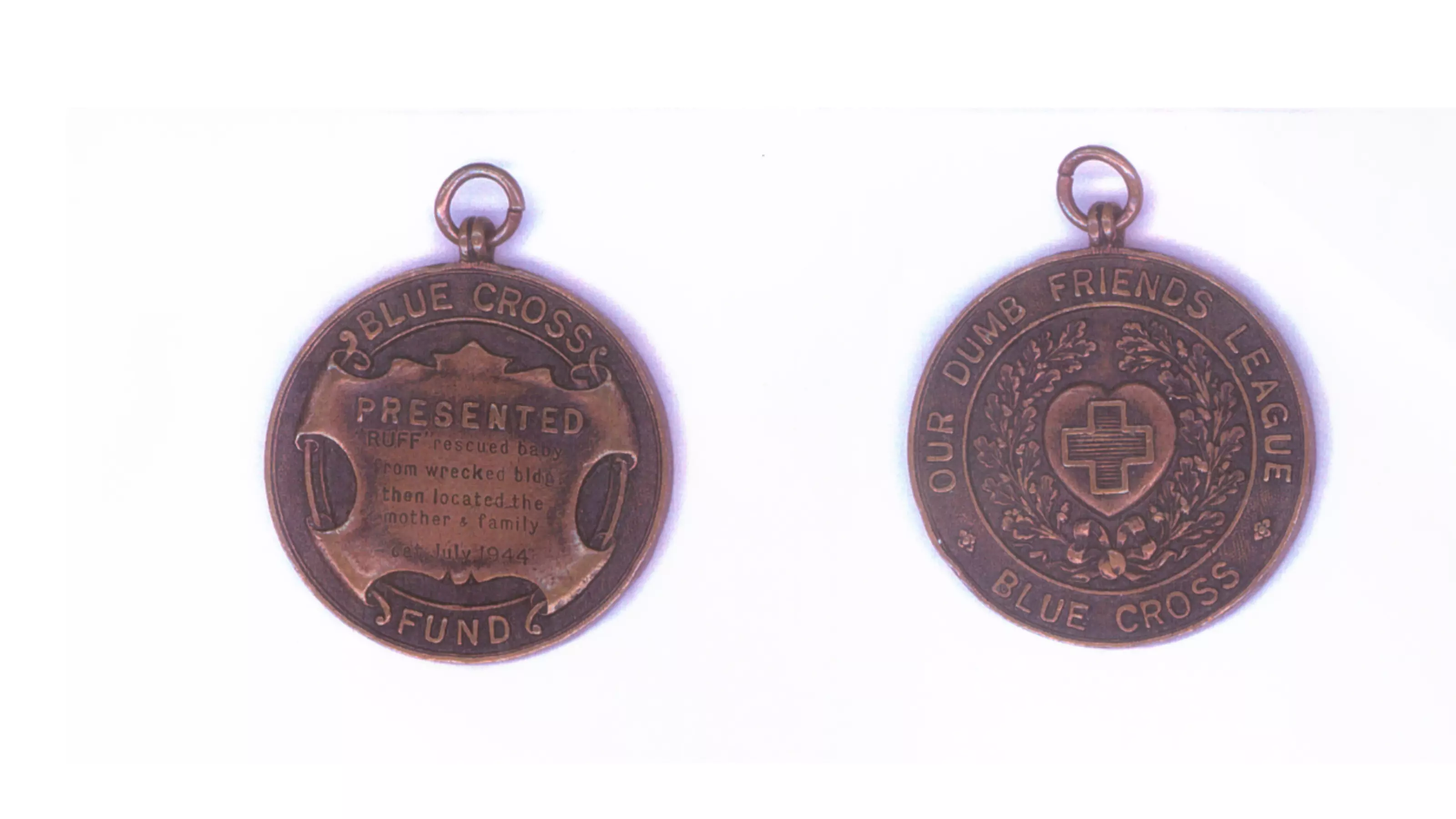 A bronze medal on white background
