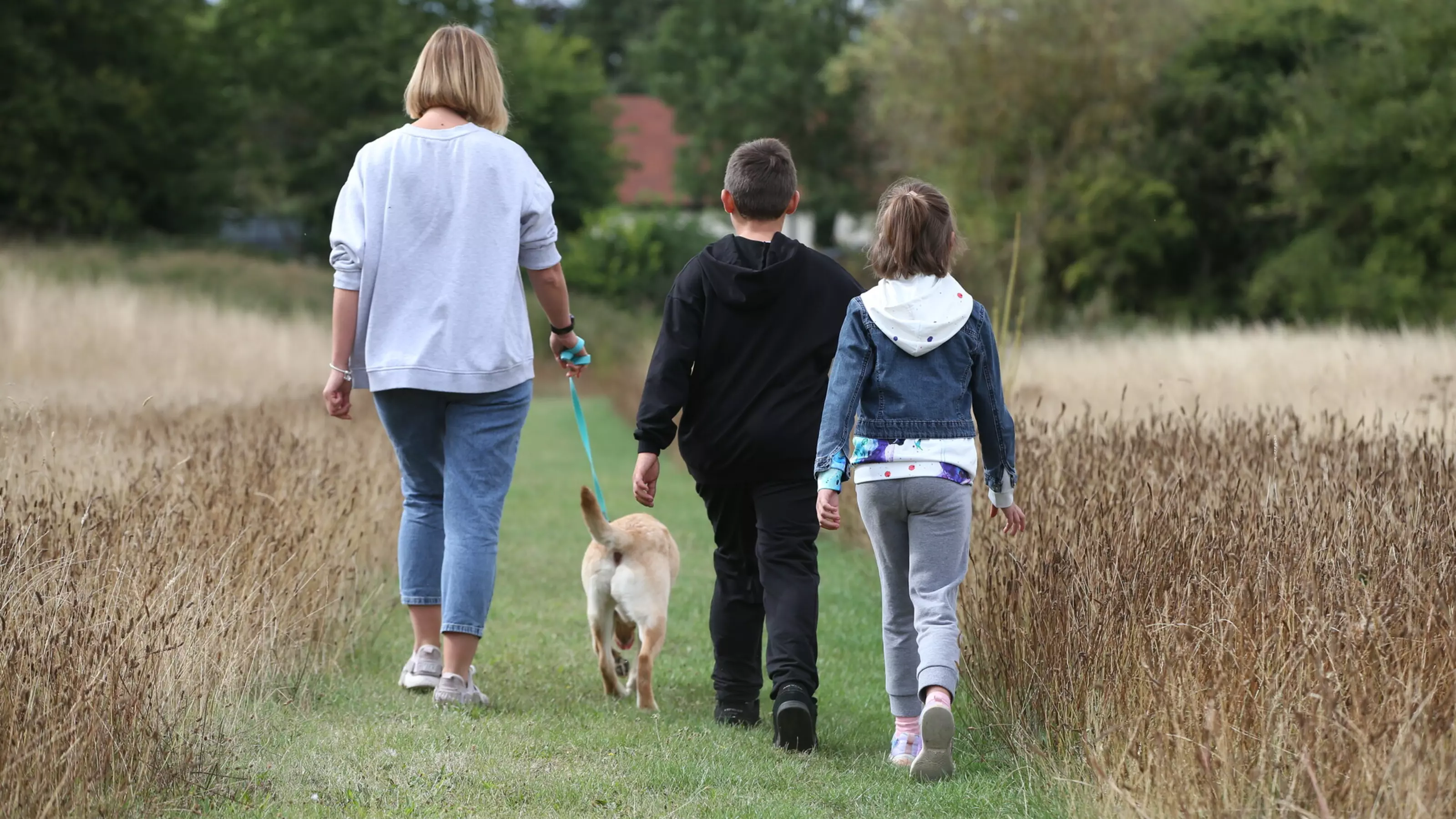 Betty on lead and her family walking away from the camera through a field surrounded by long grass