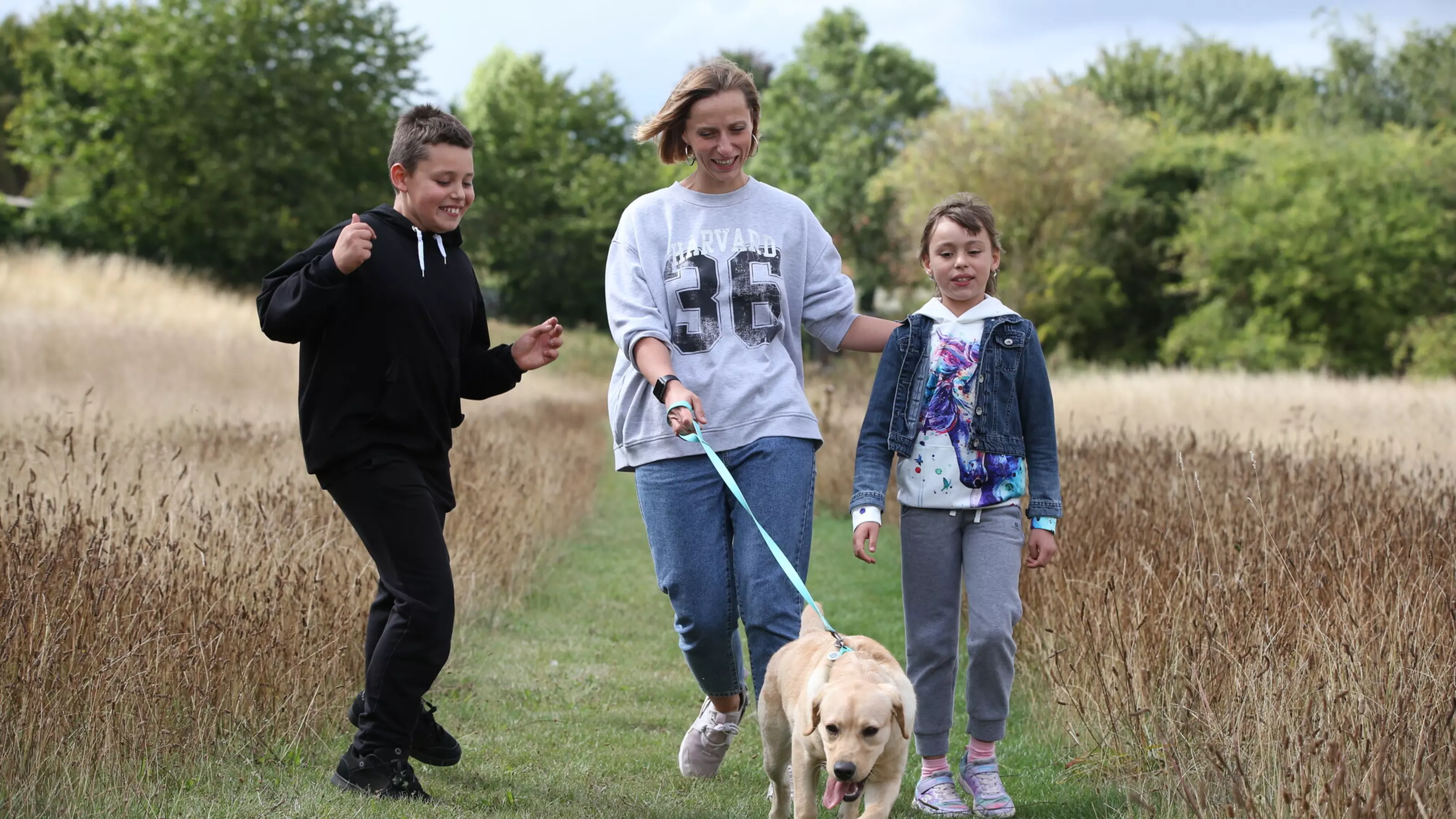 Golden labrador Betty with her family walking through a field of high grass on lead