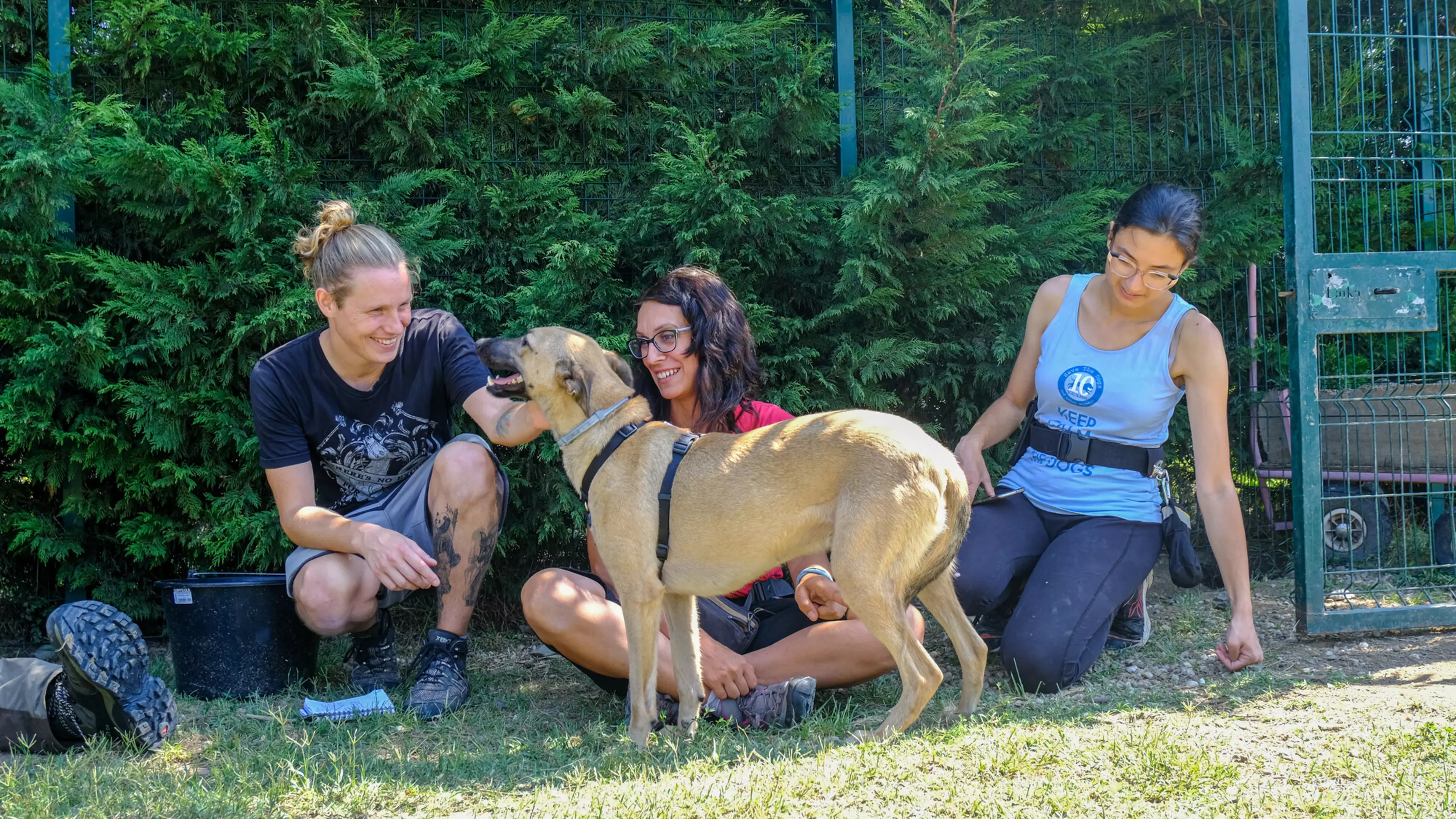 Tan-colour dog Giorgio enjoying some fuss from three members of the Save the Dogs team in the garden