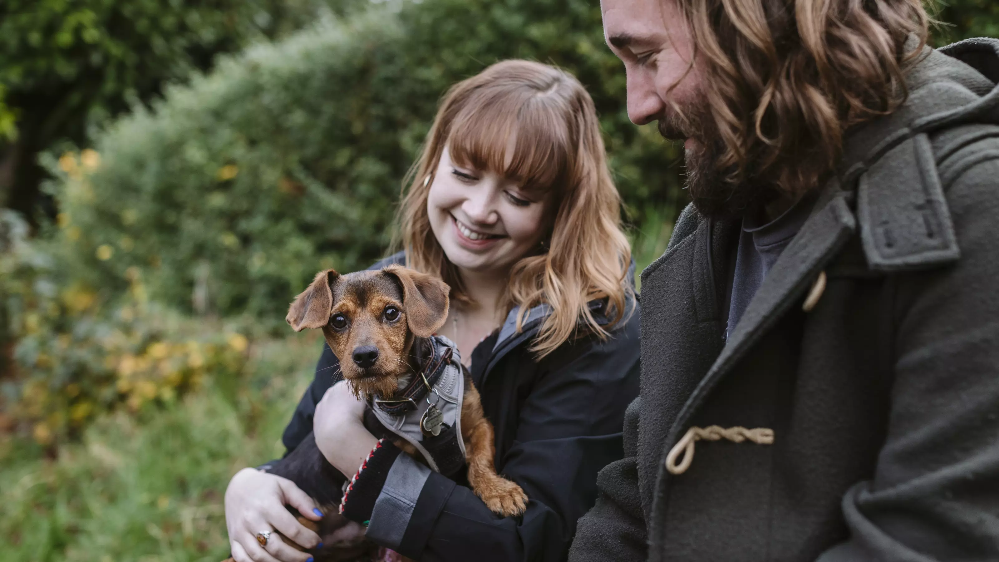 A small brown dog wearing a harness is held by their two owners.