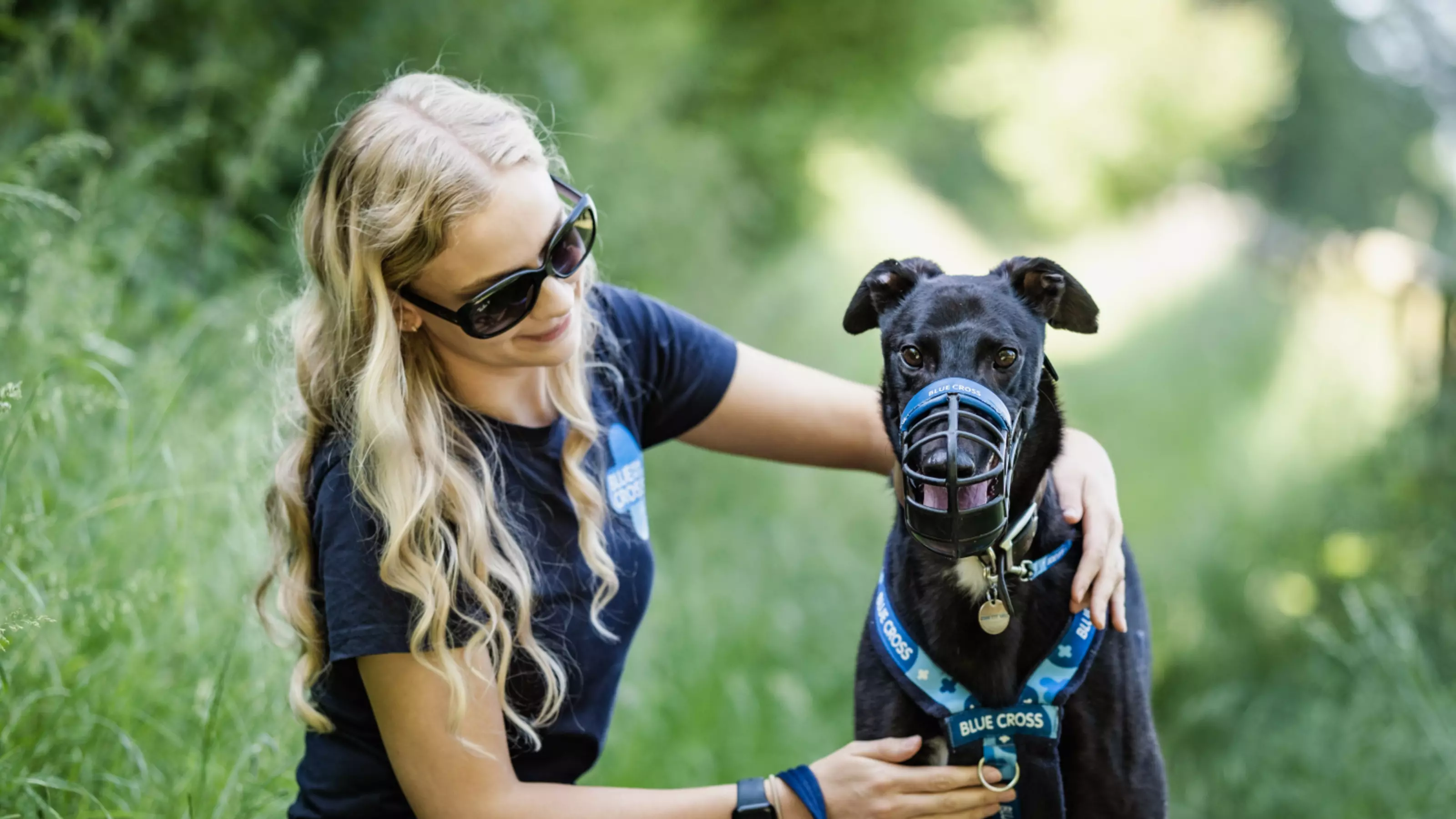 Black greyhound Frog is muzzled on a walk. He stands next to animal welfare assistant Sophie, who crouches down next to him to give him a fuss