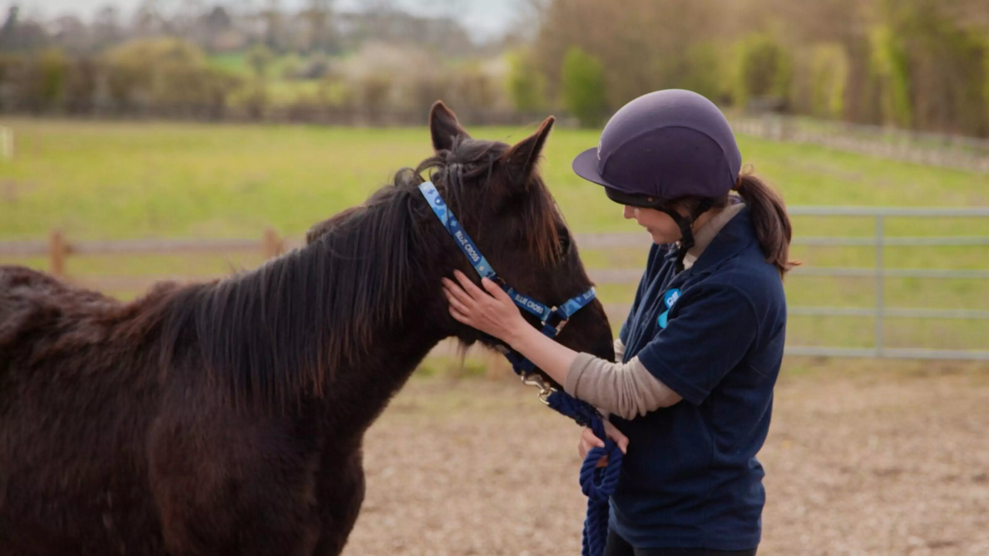 A Blue Cross groom strokes a bay pony.