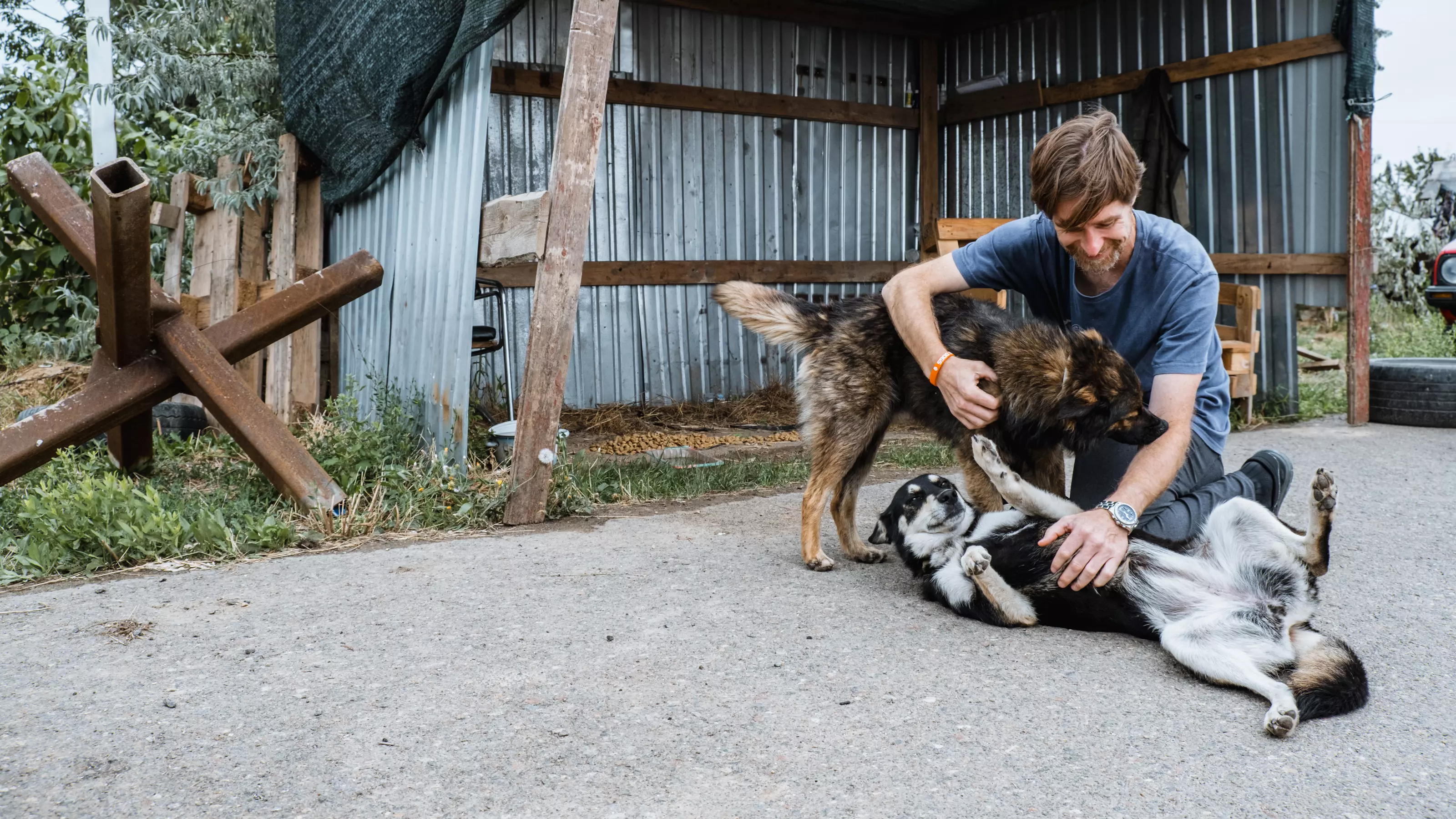 Gregg Tully, Country Director for Save the Dogs and Other Animals, kneeling on the ground, fussing two large street dogs in Ukraine