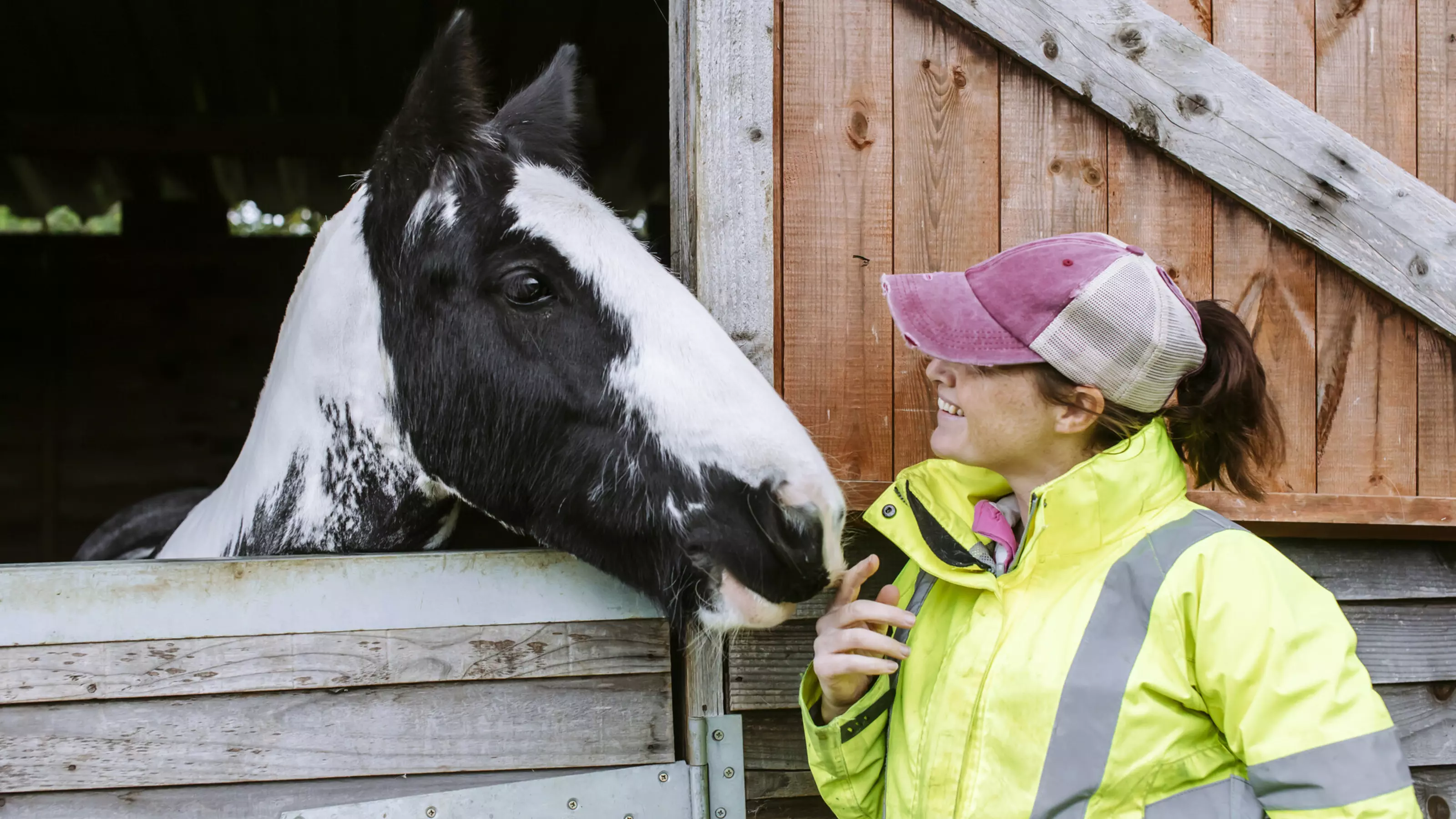 black and white horse called Mickey holding his head outside of his stable next to his owner