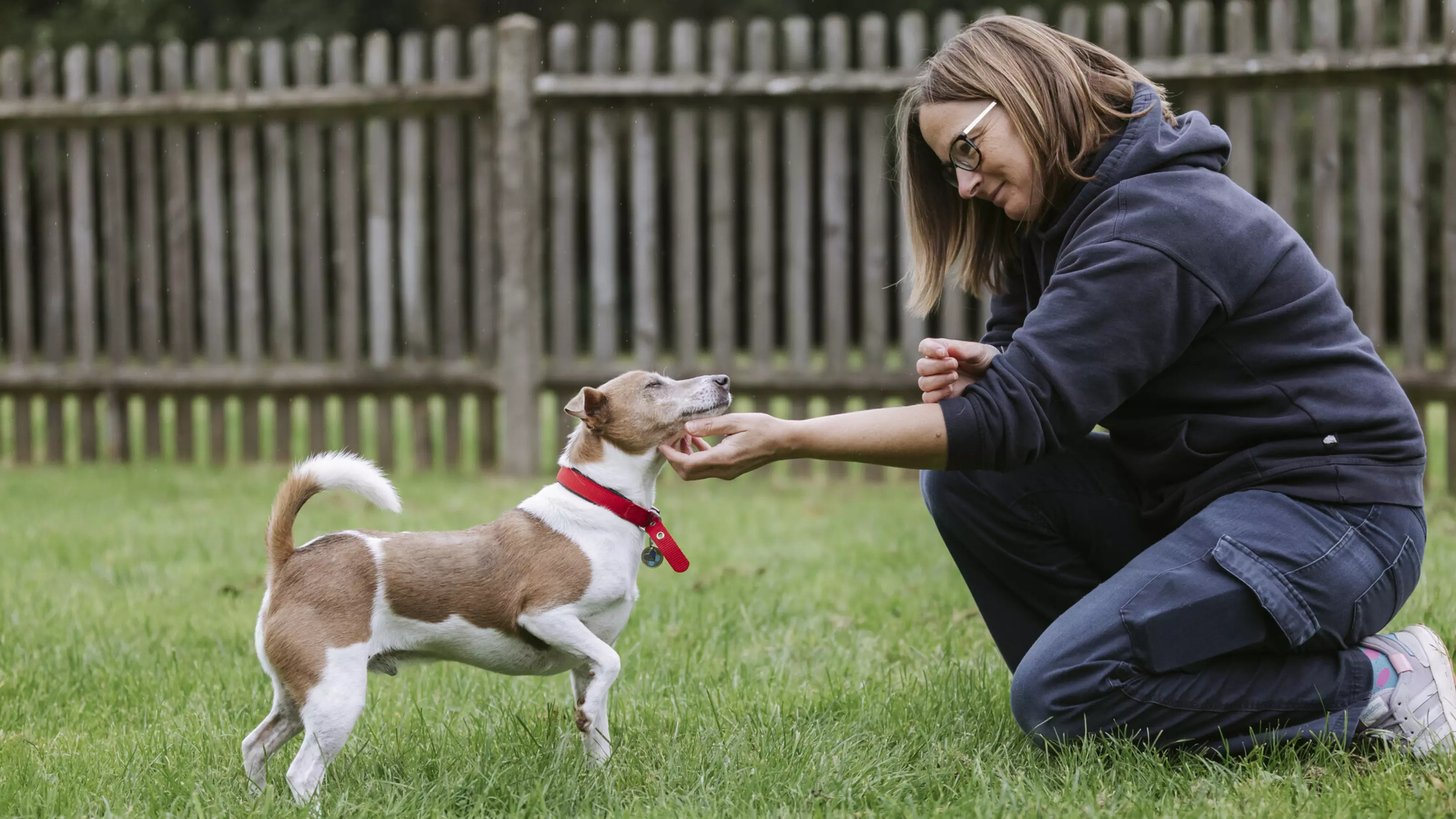 A jack russell terrier with a Blue Cross team member.