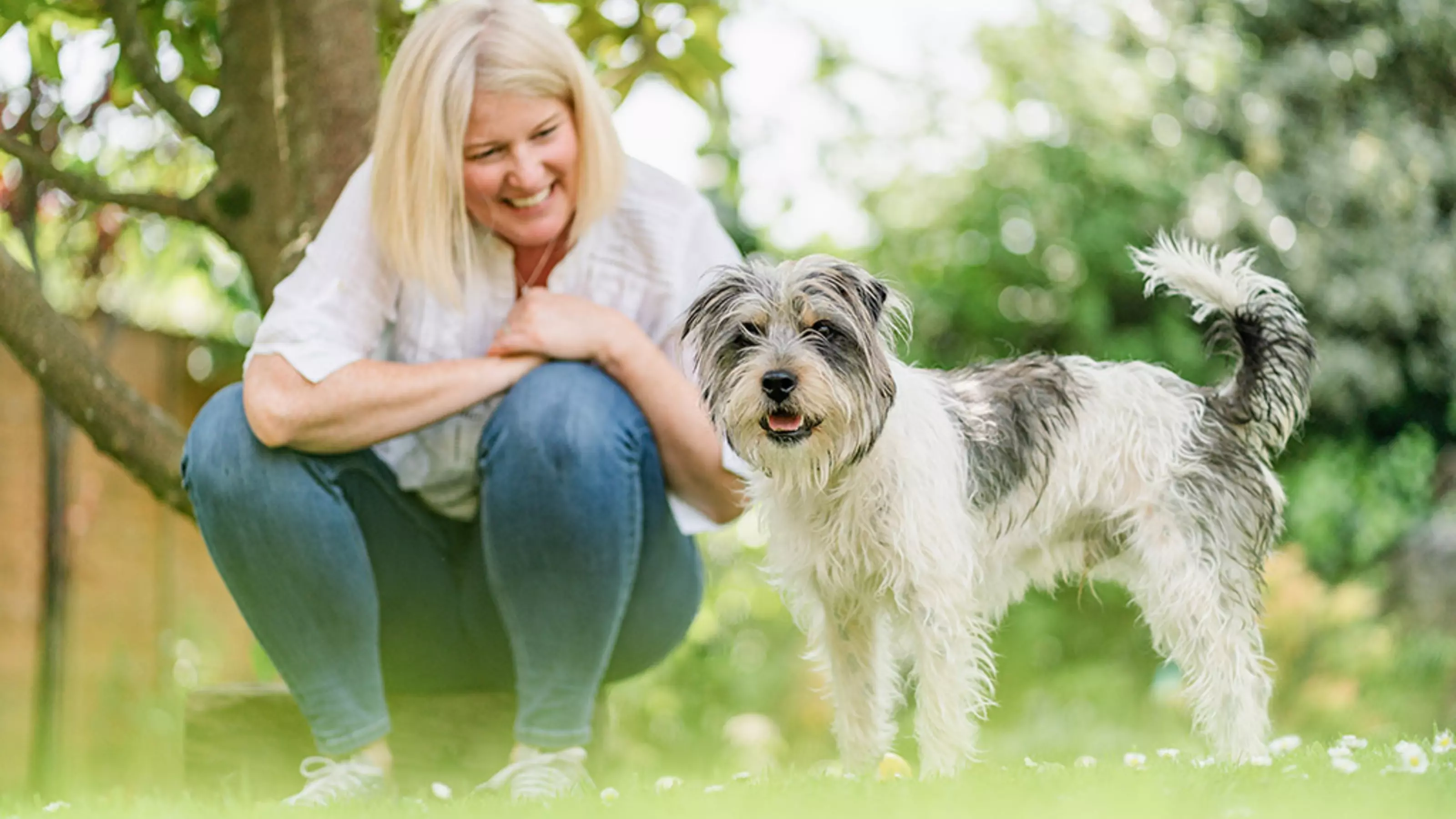 Grey and white dog Fidget standing outside in his garden with his owner