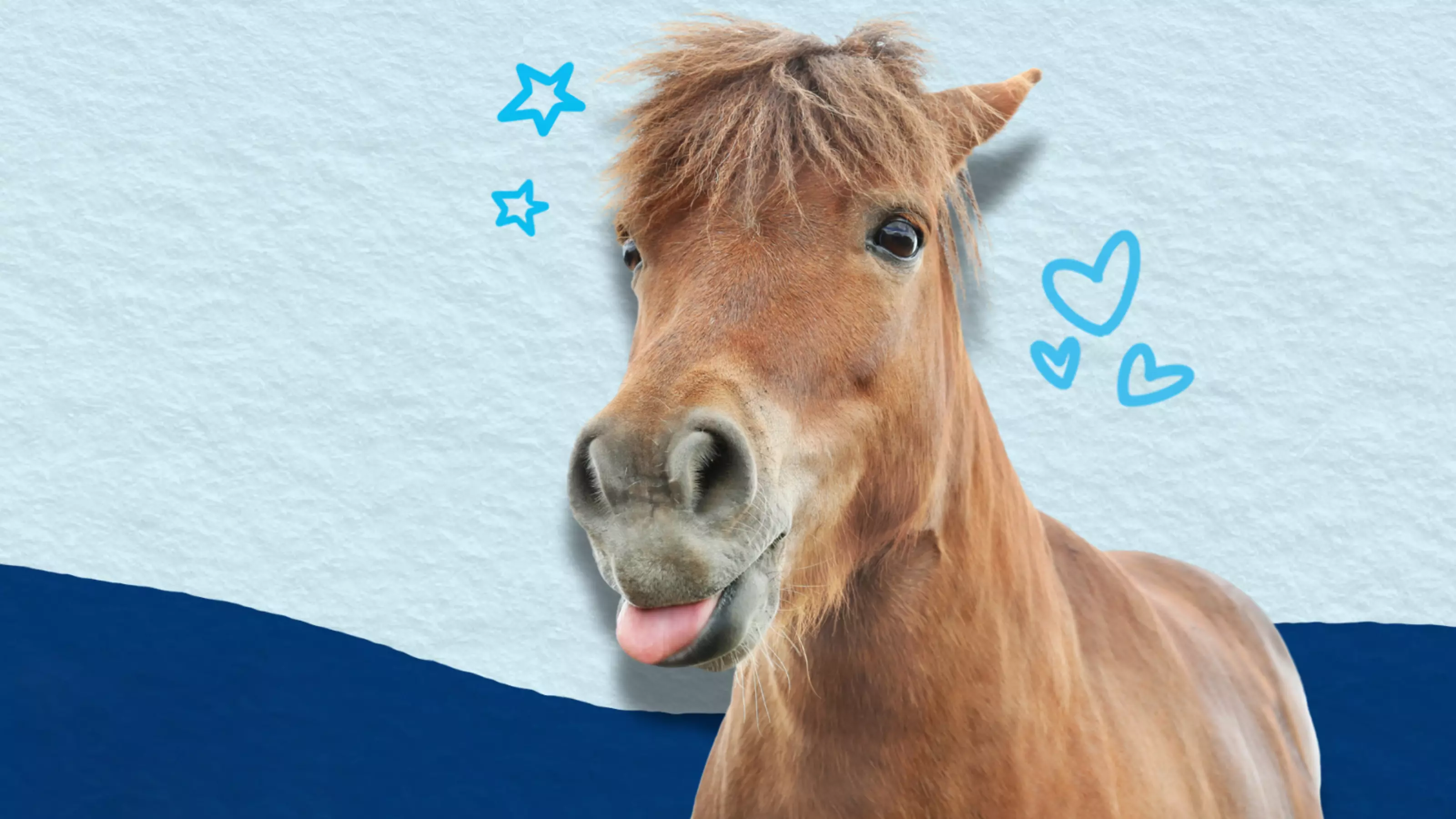 A brown horse sticking his tongue out in front of a blue background and surrounded by illustrated hearts and stars to represent Blue Cross Pet Census