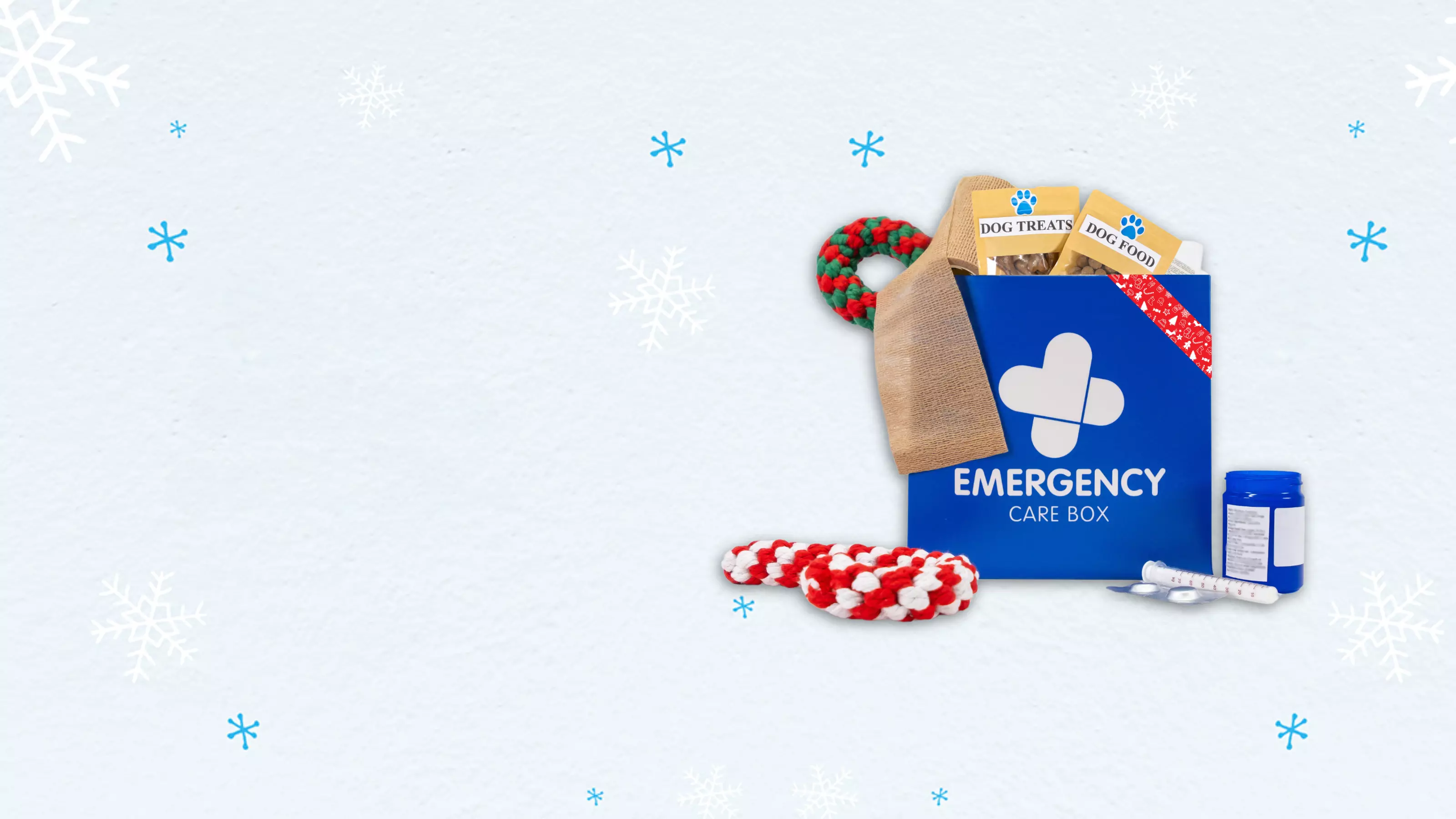 A Blue Cross Christmas emergency care box that sits on the right-hand side of the image. It includes dog treats, medication, a bandage and dog toys.