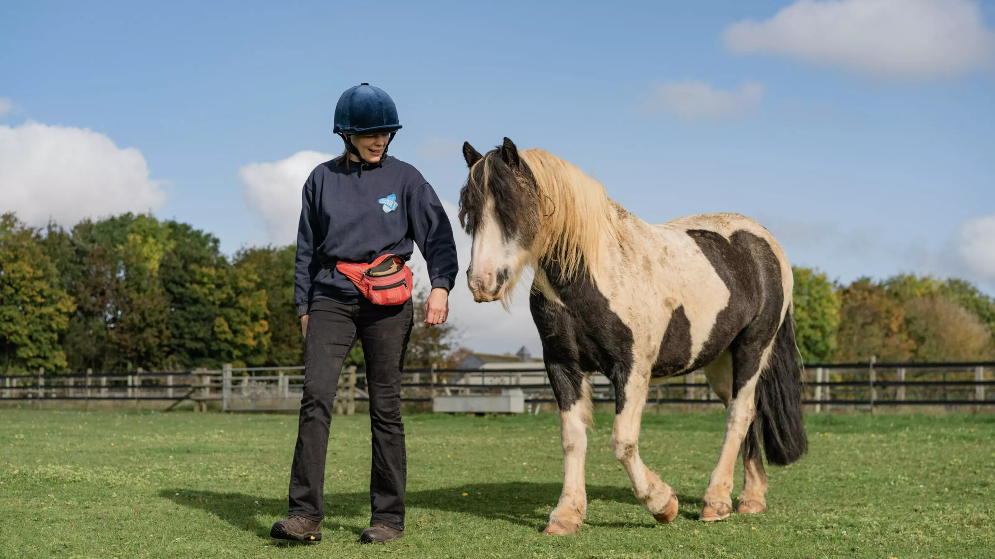 A Blue Cross volunteer walks with a black and white pony in a field. The volunteer is smiling and the pony's ears are pricked forward.