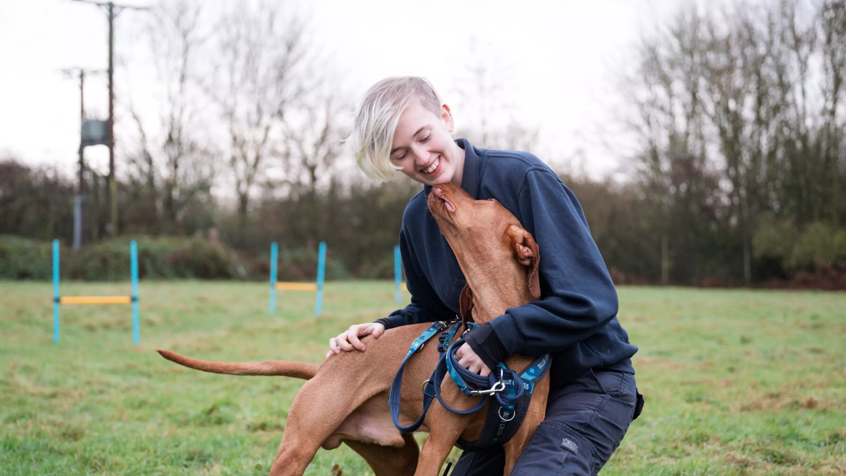 A Blue Cross volunteer plays with a brown dog in a paddock.