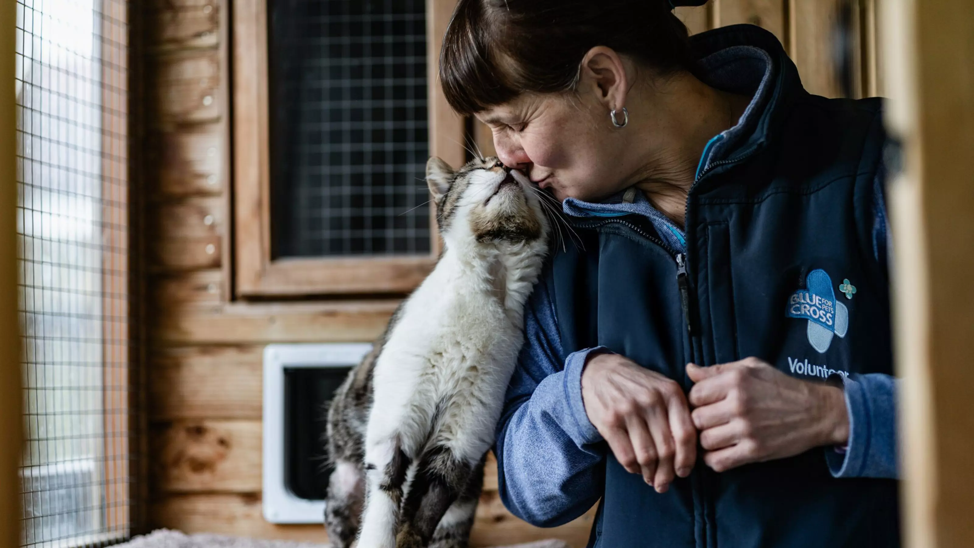 A Blue Cross volunteer is nuzzled by a tabby cat.