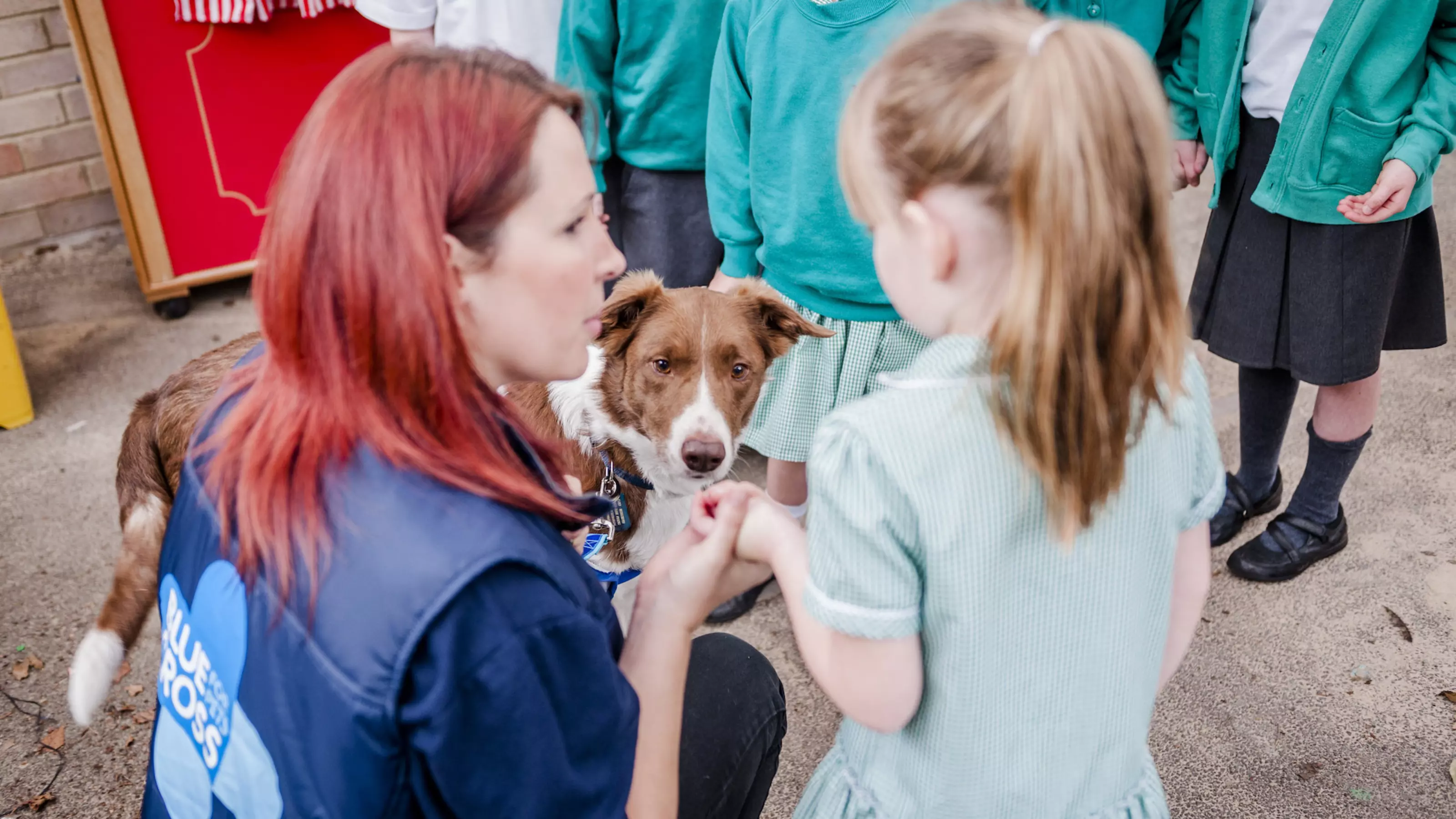 Dog Fenn at education talk at primary school