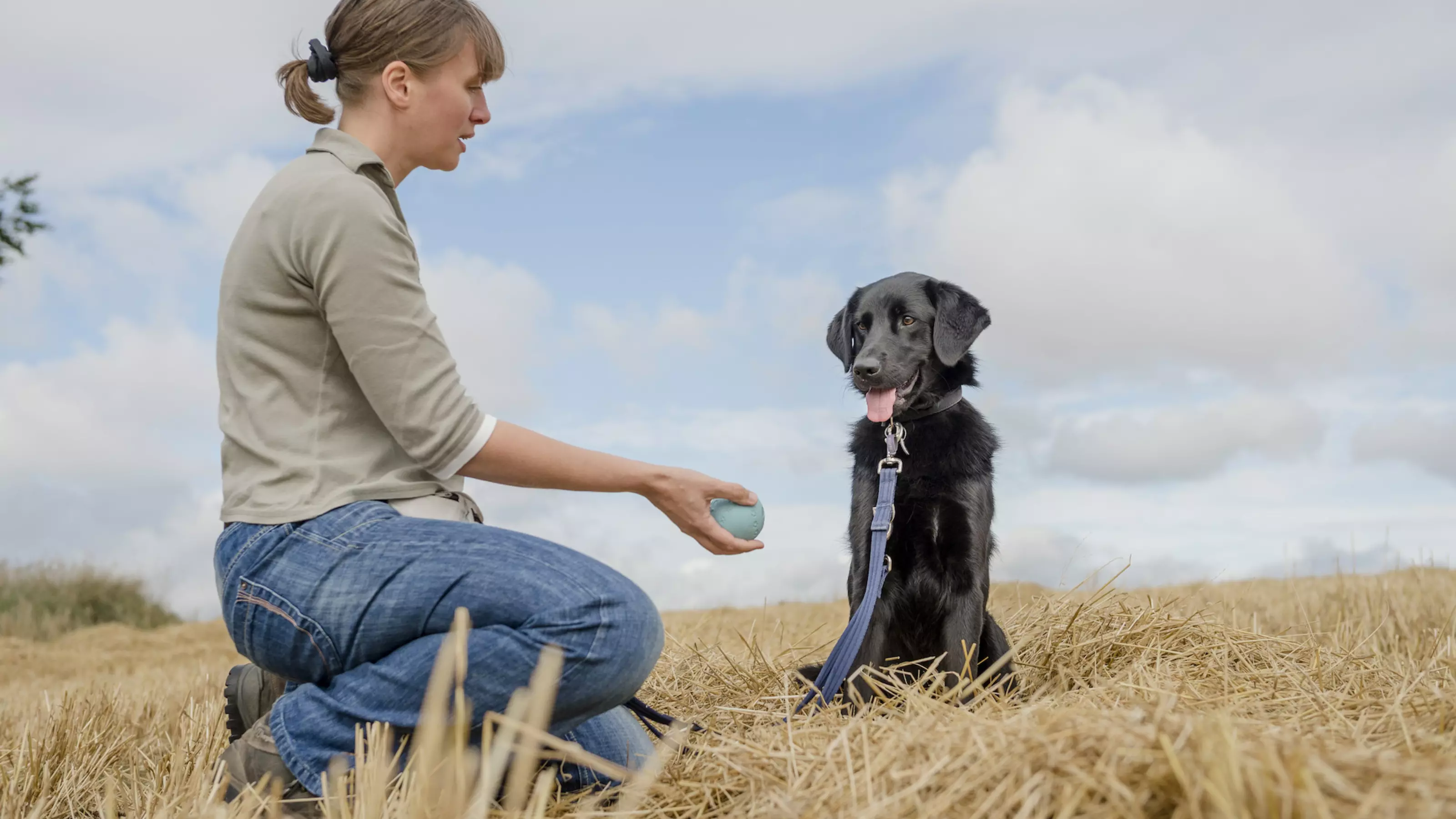 Black dog being trained with ball