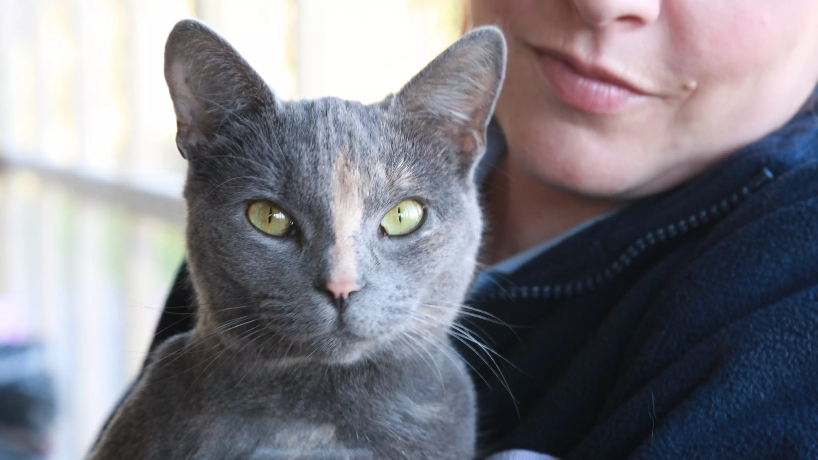 Pet Fostering coordintaor Rachel Brearley with pets at her home