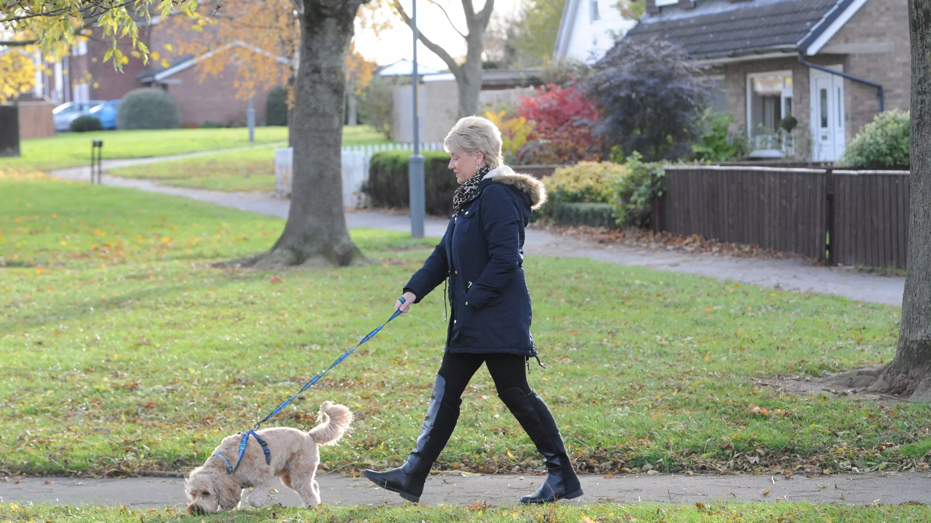 Julie takes Dusty for a walk on the lead