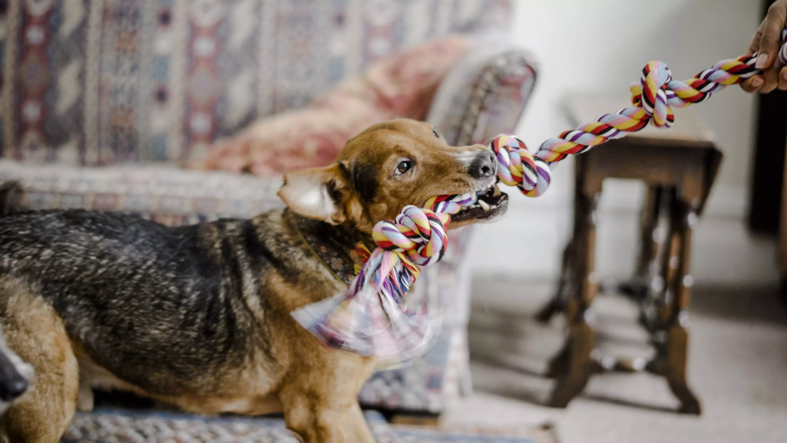 Tug of War